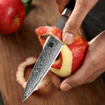 XINZUO 3-Piece 67 Layers Damascus Steel Kitchen Knife Set-Ya Series