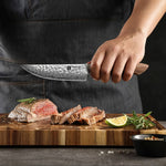XINZUO 67 Layers Japanese AUS-10 Damascus Steel Steak Knife-Jiang Series 4PCS
