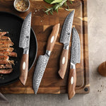 XINZUO 67 Layers Japanese AUS-10 Damascus Steel Steak Knife-Jiang Series