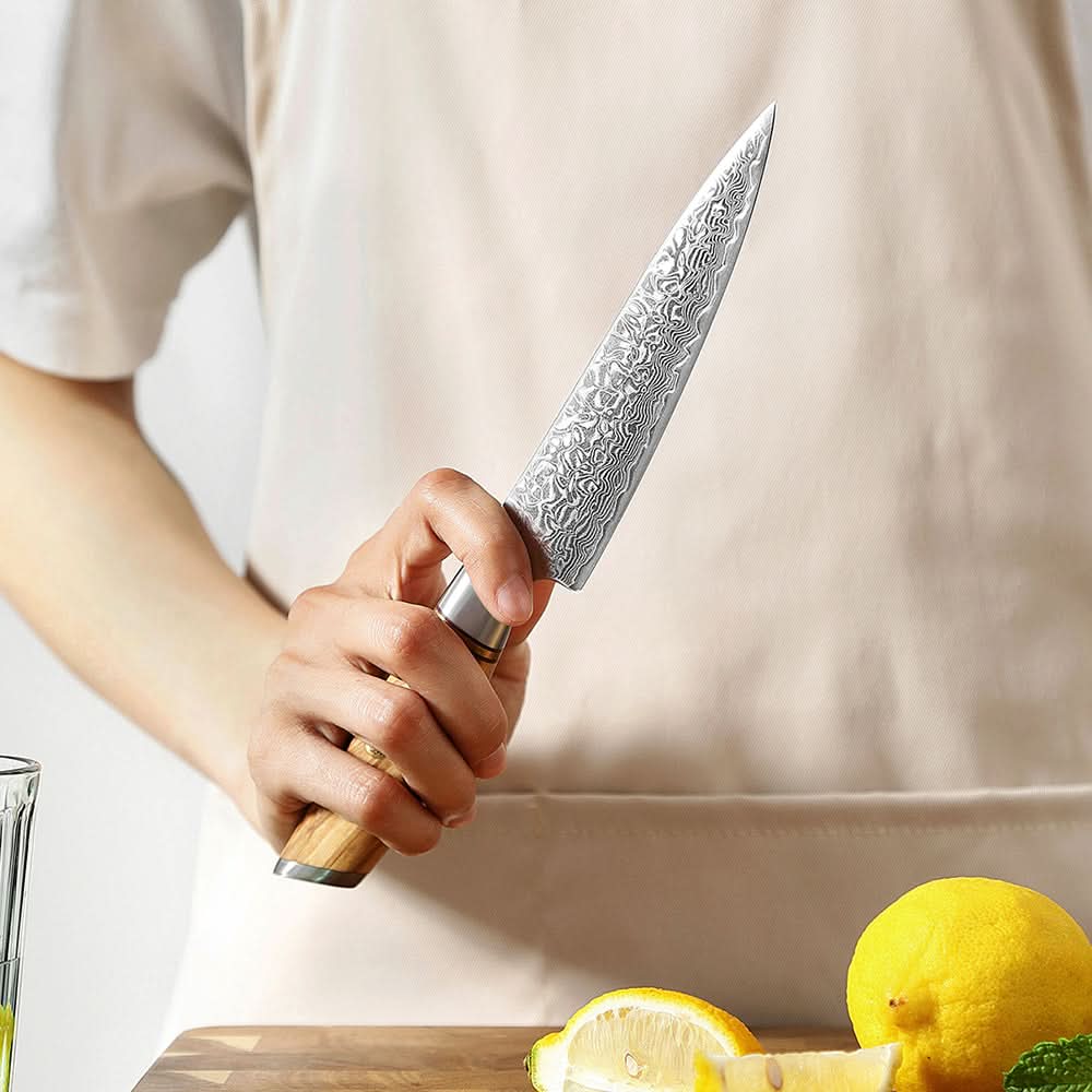 XINZUO Lan Series 73 Layers Damascus Powder Steel 5 inch Utility Knife