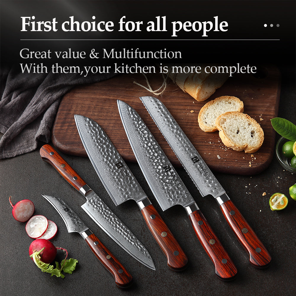 Damascus Kitchen Knife Set 5 Piece-HYZ Series