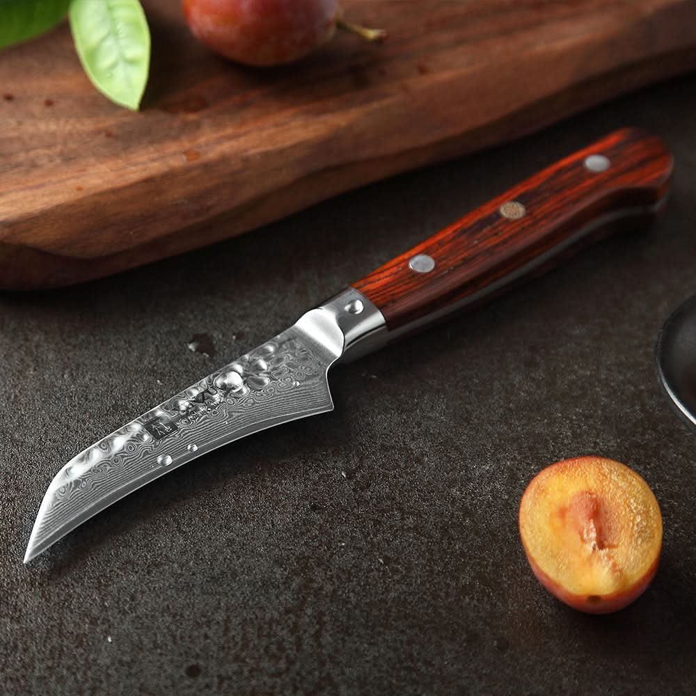 XINZUO YUN DAMASCUS SERIES 3.5''inch Paring Knife