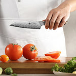 XINZUO Xing Series Hand-forged 5.1 Inches Utility Knife 73-Layer Pattern Damascus Steel - Ultra-Sharp Multi-Purpose Cooking Knife