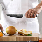 XINZUO Premium 5.3" Damascus Steel Utility Knife - 67 Layers Damascus Steel, 60±2 HRC, Black Titanium Plated, Full Tang, Professional Kitchen Knife