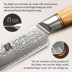 XINZUO Lan Series 73 Layers Damascus Powder Steel 10 inch Carving Knife