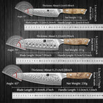 XINZUO 3PCS Damascus Knife Set 67-Layer Custom Forged Steel Ultra-Sharp 15° Edge - for Meat Vegetables Fruit