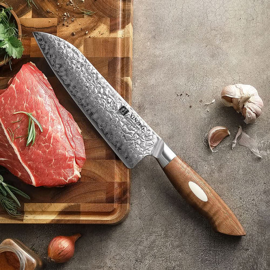 XINZUO 7 Inches 67 Layers Japanese AUS-10 Damascus Steel Gyuto Knife/ Chef Knife-Jiang Series