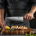 XINZUO 2-Piece 67 Layers Japanese AUS-10 Damascus Steel Kitchen Knife Set-Jiang Series