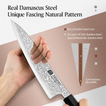 XINZUO 5-Piece Complete Kitchen Knife Set, Custom 67 Layer Damascus Steel Blade,Olive Wood Handle, For Home Daily Food Prep