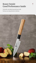 XINZUO PM8 Series 67 Layers Damascus Powder Steel Paring Knife 4 inches