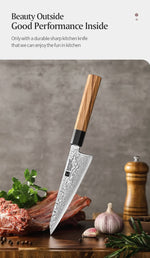 XINZUO PM8 Series 67 Layers Damascus Powder Steel Multipurpose Knife 5.8 inches