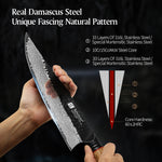 XINZUO Customized 67 Layers Damascus Steel 10.2 Inches Chef Knife Hardness 60±2HRC Household Kitchen Knife