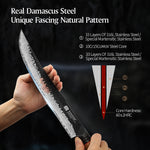 XINZUO 10 Inch Carving Knife 67 Layers Damascus Steel with Burnt Oak Handle - Precision Slicing Knife for Meat, Poultry & Roasts