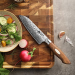 XINZUO 5.5 Inches 67 Layers Japanese AUS-10 Damascus Steel Santoku Knife-Jiang Series