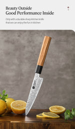 XINZUO PM8 Series 67 Layers Damascus Powder Steel Utility Knife 5.3 inches