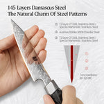 XINZUO 4.5 Inches Paring Knife M390 Damascus Chef Knife | 145 Layers Forged Blade & Carbon Fiber Handle