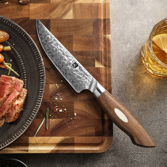 XINZUO 67 Layers Japanese AUS-10 Damascus Steel Steak Knife-Jiang Series
