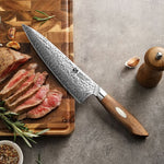 XINZUO 8 Inches 67 Layers Japanese AUS-10 Damascus Steel Chef Knife Jiang Series