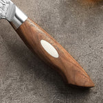 XINZUO 8 Inches 67 Layers Japanese AUS-10 Damascus Steel Serrated Knife/Bread Knife-Jiang Series