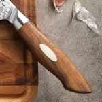 XINZUO 5.5 Inches 67 Layers Japanese AUS-10 Damascus Steel Santoku Knife-Jiang Series