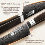 XINZUO Ji Series 4.1 Inches Sharp Paring Knife 67 Layers Damascus Steel Hand-forged Kitchen Knife