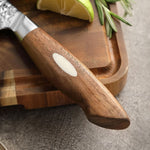 XINZUO 3.5 inches 67 Layers Japanese AUS-10 Damascus Steel Paring knife-Jiang Series