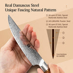 XINZUO Lan Series 73 Layers Damascus Powder Steel Steak Knife
