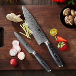 XINZUO 2-Piece 67 Layers Damascus Steel Kitchen Knife Set-Ya Series