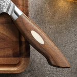 XINZUO 67 Layers Japanese AUS-10 Damascus Steel Steak Knife-Jiang Series