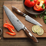 XINZUO 2-Piece 110 Layers Damascus Steel Kitchen Knife Set-Jiang Series
