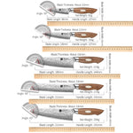 XINZUO 5-Piece 67 Layers Japanese AUS-10 Damascus Steel Kitchen Knife Set-Jiang Series