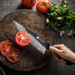 XINZUO 67 Layers Black Damascus Steel Chef Knife/Gyuto Chef Knife with  Burnt Oak Handle