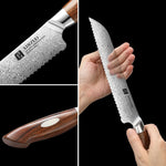 XINZUO 8 Inches 110 Layers Damascus Steel Serrated Knife/Bread Knife-Jiang Series