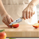 XINZUO 4.3 Inches Paring Knife - Triple-Layer Composited Steel with Olive Wood Handle, Razor Sharp & Ergonomic Design-PIN Series
