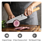 XINZUO 2PCS Knife Set, 67 Layers Damascus Steel Kitchen Knives, 10Cr15CoMoV Steel Core, Ergonomic Handle, Multipurpose Prepping Knives