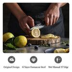 XINZUO 4 Inches 67 Layers Black Damascus Steel Paring Knife with  Burnt Oak Handle MO-Series