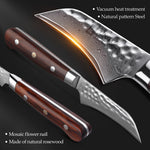 XINZUO YUN DAMASCUS SERIES 3.5''inch Paring Knife