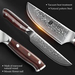 XINZUO 5 Inches Steak Knife - 67 Layers Damascus Steel Blade, Premium Rosewood Handle, Razor Sharp Kitchen Knife,