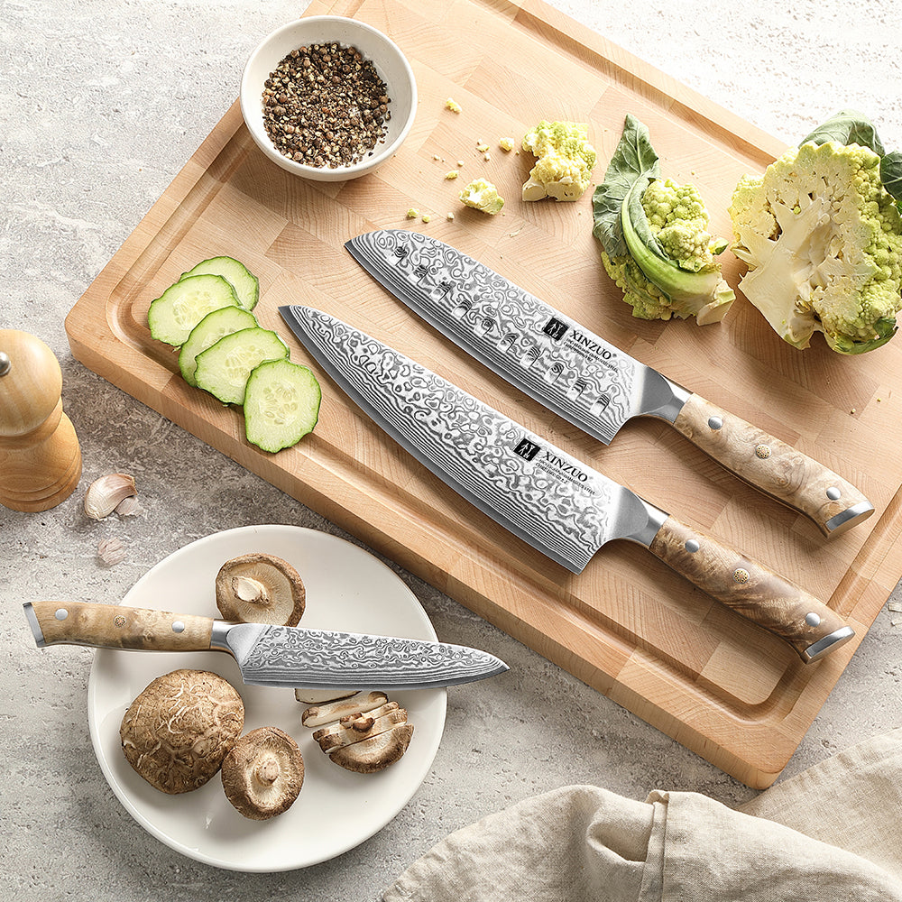 XINZUO 3PCS Damascus Knife Set 67-Layer Custom Forged Steel Ultra-Sharp 15° Edge - for Meat Vegetables Fruit