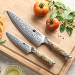 XINZUO Yu Series 2PCS Kitchen Knife Set 67-Layer Damascus Steel Ultra-Sharp 15° Edge,Meat and Vegetable Cutting