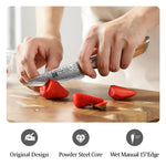 XINZUO Lan Series 73 Layers Damascus Powder Steel 3.5 inchs Paring Knife
