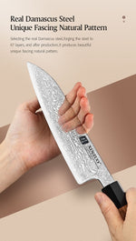 XINZUO PM8 Series 67 Layers Damascus Powder Steel Santoku Knife 7.5 inches