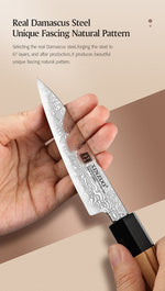 XINZUO PM8 Series 67 Layers Damascus Powder Steel Paring Knife 4 inches