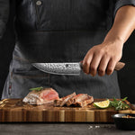 XINZUO 67 Layers Japanese AUS-10 Damascus Steel Steak Knife-Jiang Series