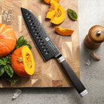 XINZUO Ji Series Japanese Santoku Knife 7.2 Inches,Damascus Steel Blade, with Exquisite Patterns, Presented in an Attractive Gift Box