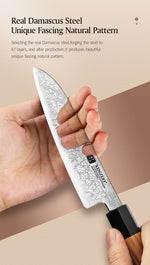 XINZUO PM8 Series 67 Layers Damascus Powder Santoku Knife 5.5 inches