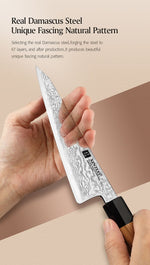 XINZUO PM8 Series 67 Layers Damascus Powder Steel Multipurpose Knife 5.8 inches