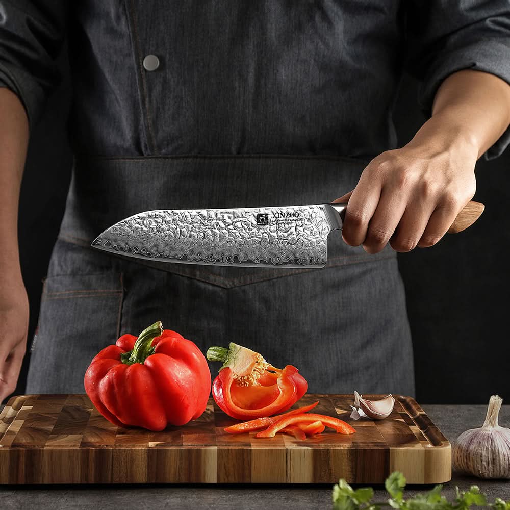 XINZUO 7 Inches 67 Layers Japanese AUS-10 Damascus Steel Gyuto Knife/ Chef Knife-Jiang Series