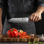 XINZUO 7 Inches 67 Layers Japanese AUS-10 Damascus Steel Gyuto Knife/ Chef Knife-Jiang Series