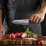 XINZUO 5.5 Inches 67 Layers Japanese AUS-10 Damascus Steel Santoku Knife-Jiang Series
